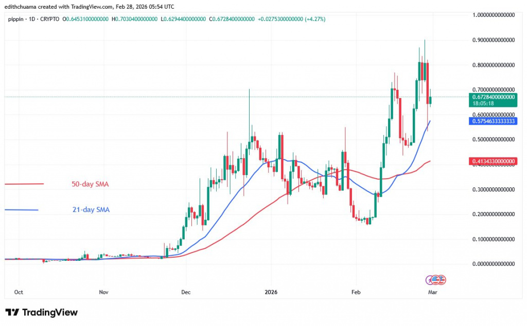 PIPPINUSD_(Daily Chart) – FEB.28