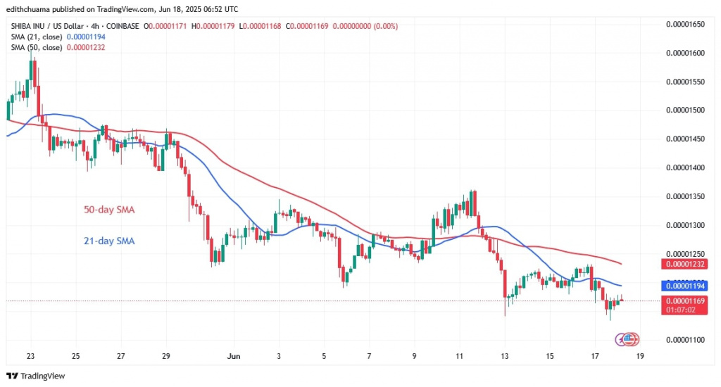 SHIBUSD_(4-Hour Chart) June 18.jpg