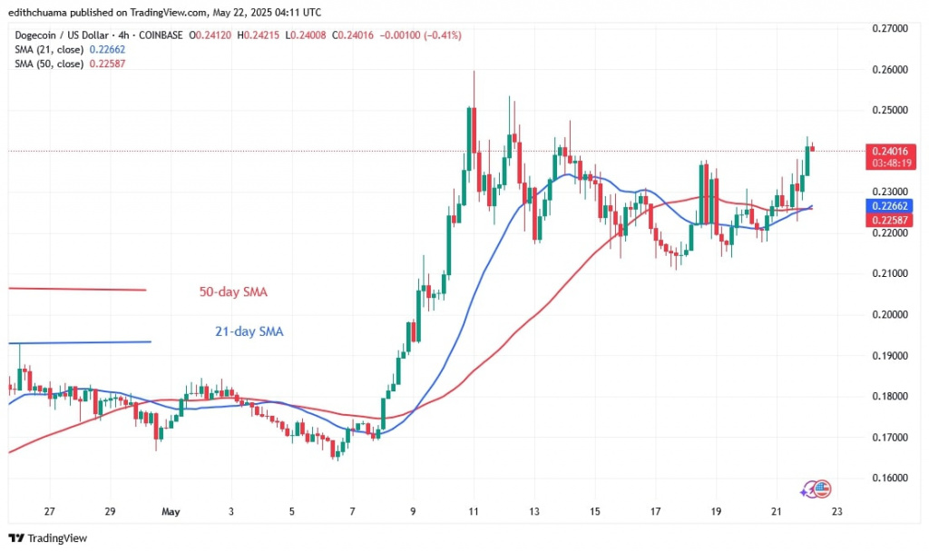 DOGEUSD_( 4-Hour Chart) - May 22.jpg