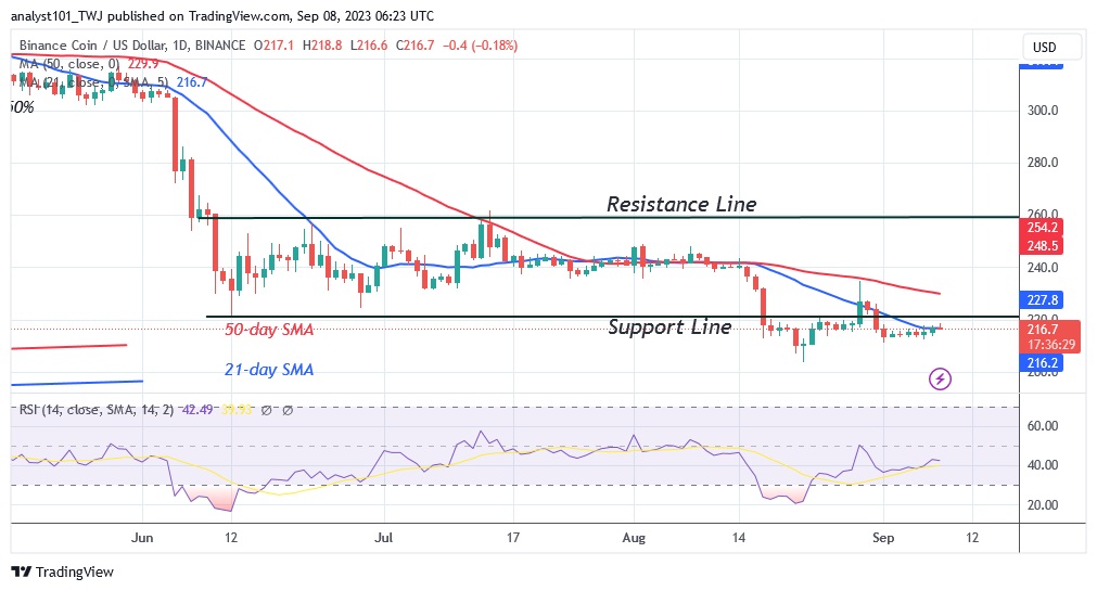 BNBUSD (Daily Chart) – SEPT. 8.23.jpg