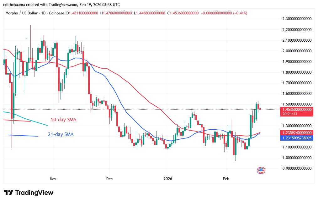 MORPHOUSD_(Daily Chart) – FEB.19, 2026 MORPHOUSD_(Daily Chart) – FEB.19, 2026