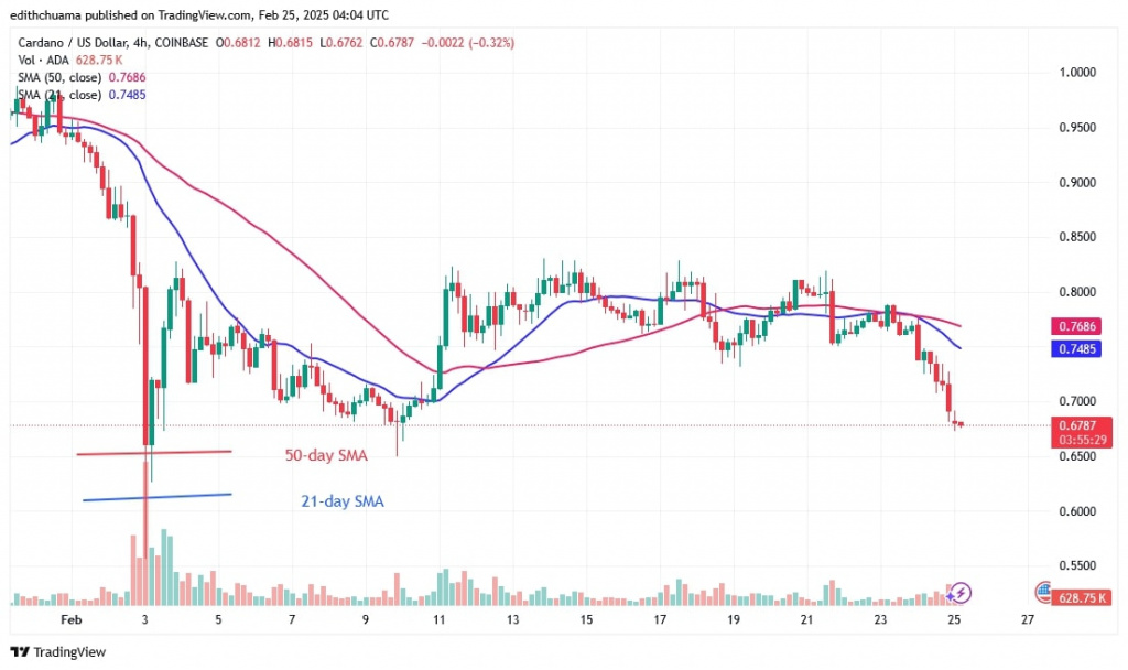 ADAUSD_(4-Hour Chart)- FEB.25.jpg