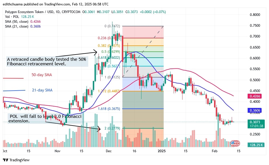 POLUSD_(Daily Chart) -FEB.12.jpg