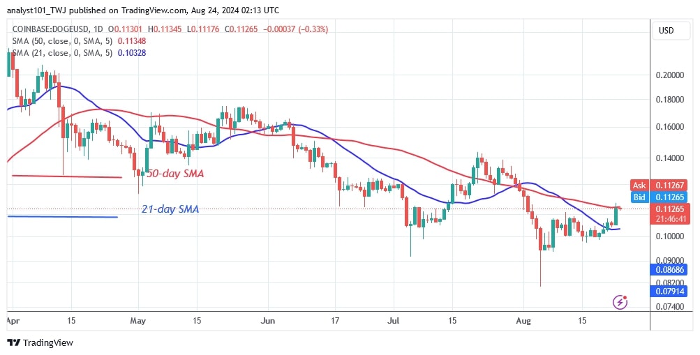 DOGEUSD_( Daily chart) - AUG.24.jpg