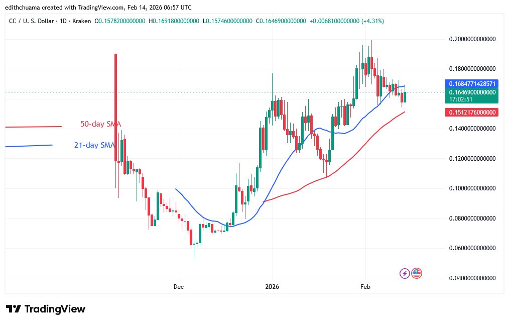 CCUSD (Daily Chart) – FEB. 14, 2026