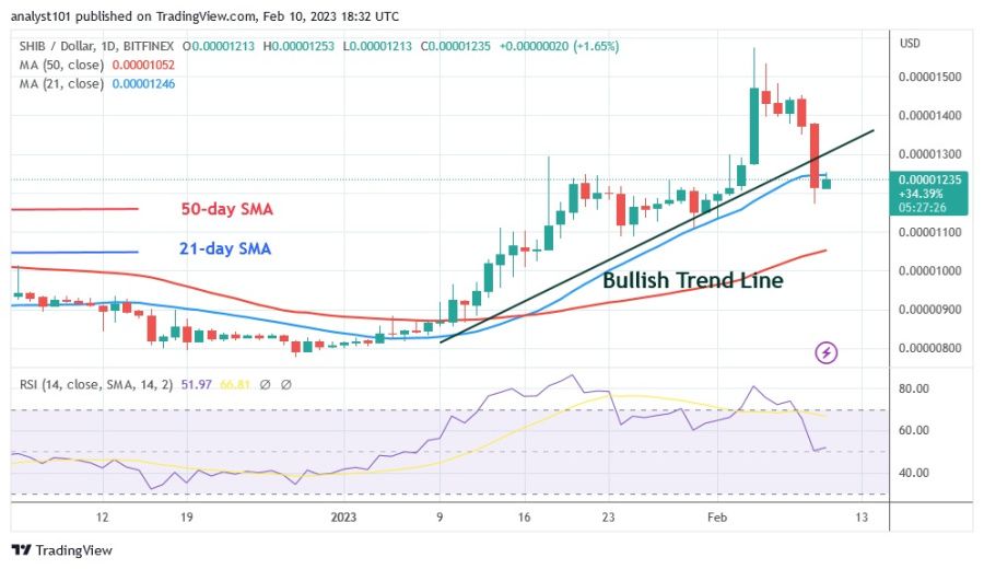 SHIBUSD(Daily Chart) - February 10.23.jpg