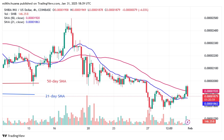 SHIBUSD_(4-Hour Chart) - JAN.31.25.jpg