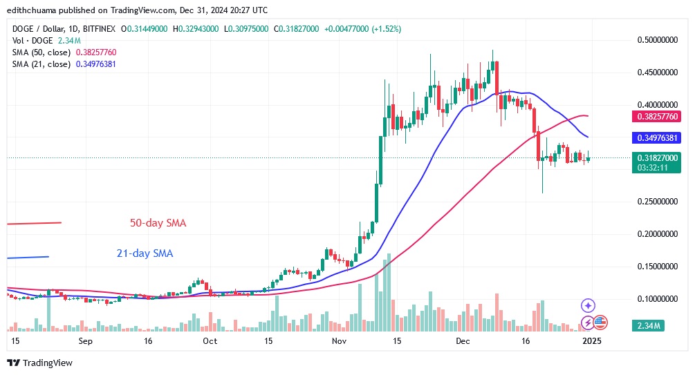 DOGEUSD_(Daily Chart) - DEC.31.24.jpg