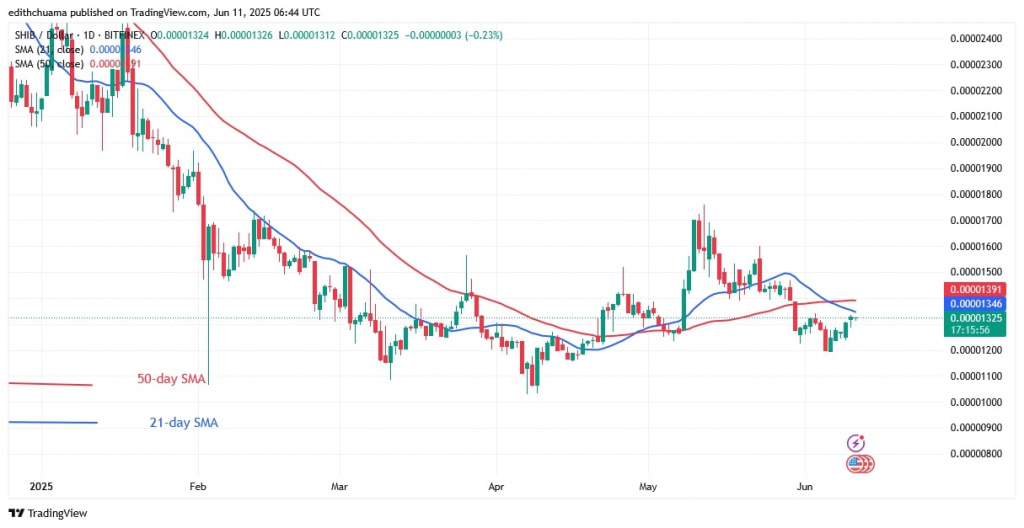 SHIBUSD_(Daily Chart) - June 11.jpg