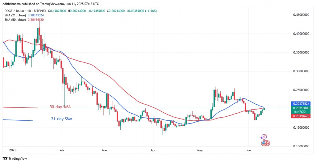 DOGEUSD_(Daily Chart) - June 11, 2025 DOGEUSD_(Daily Chart) - June 11.jpg
