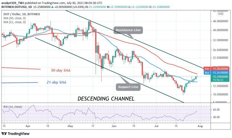 DOT_chart_31.07.2021_-_COINIDOL.jpg