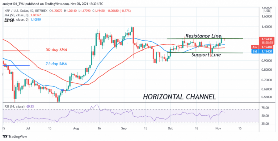 XRPUSD(Daily_Chart)_-_NOV._5_(1).png