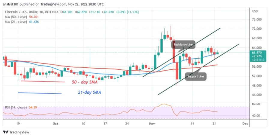 LTCUSD(Daily_Chart)_-_November_22.22.jpg