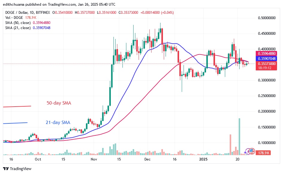 DOGEUSD_(Daily Chart) - JAN.26.25.jpg