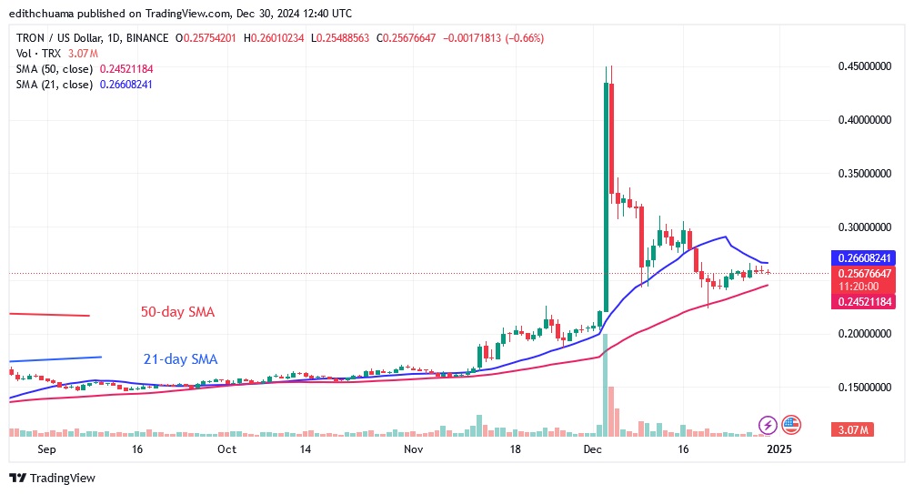 TRXUSD_(Daily Chart) -DEC.30.24.jpg