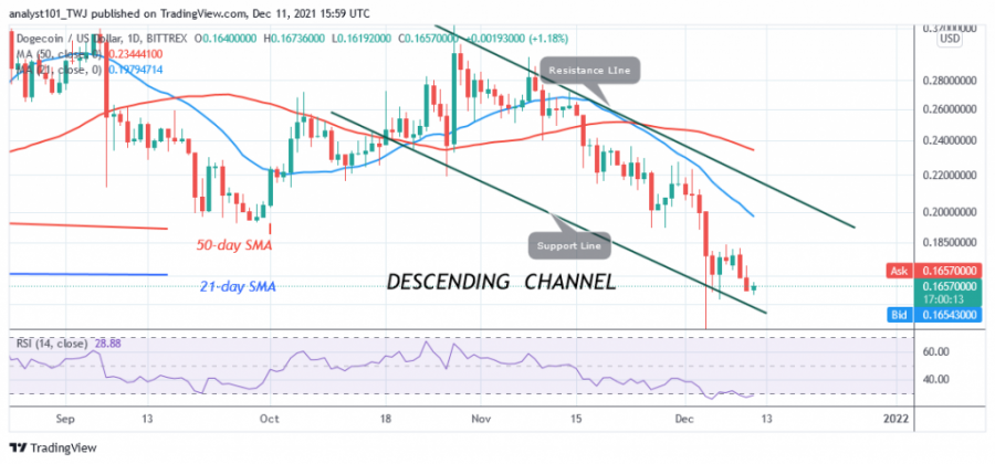 DOGEUSD(Daily+Chart+)+-+DECEMBER+11.png