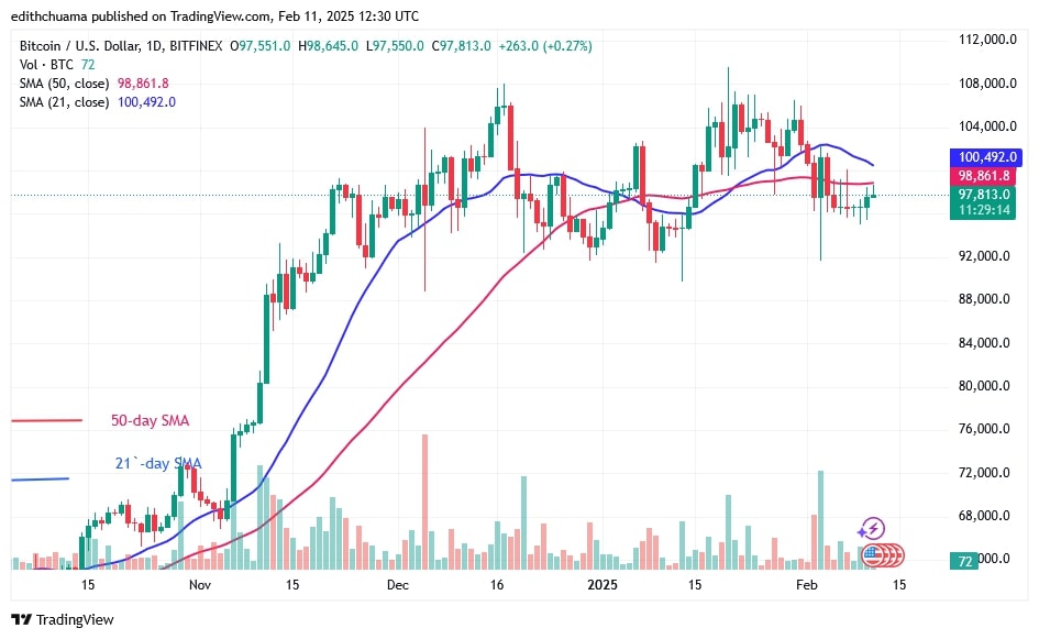 BTCUSD_(Daily Chart) - FEB.11.jpg