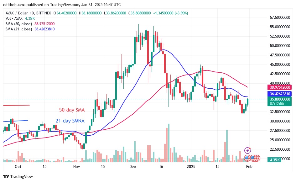 AVAXUSD_(Daily Chart)- JAN.31.25.jpg