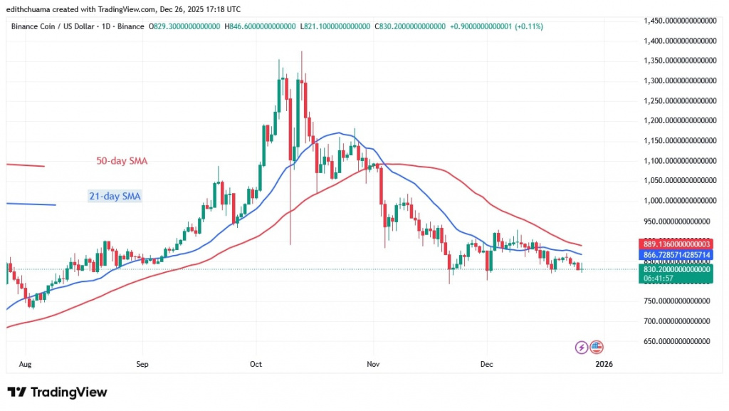 BNBUSD_(Daily Chart) - DEC.26, 2026