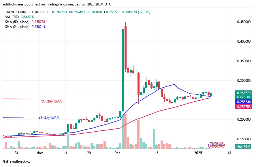 TRXUSD_(Daily Chart) - JAN.06.25.jpg