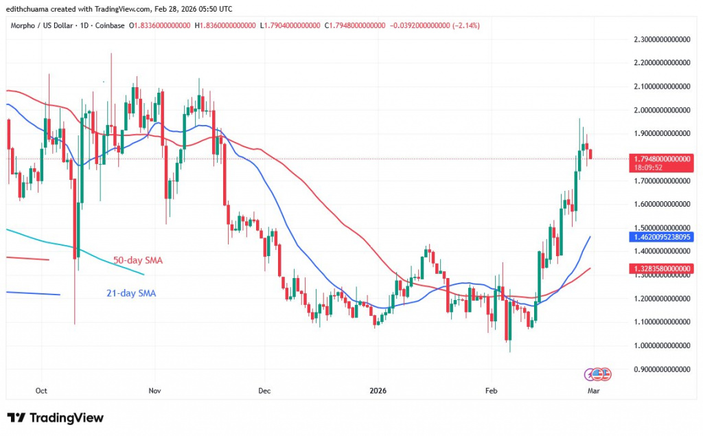 MORPHOUSD_(Daily Chart) – FEB.28
