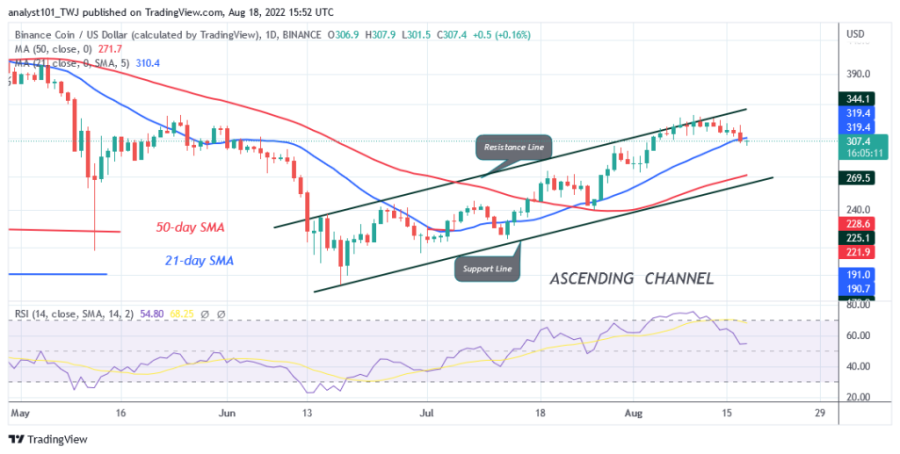 BNBUSD(Daily_Chart)_-_August_18.png