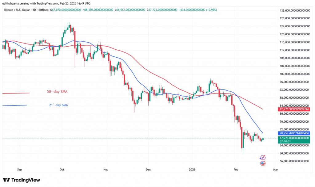 BTCUSD_( Daily Chart) - FEB.20, 2026