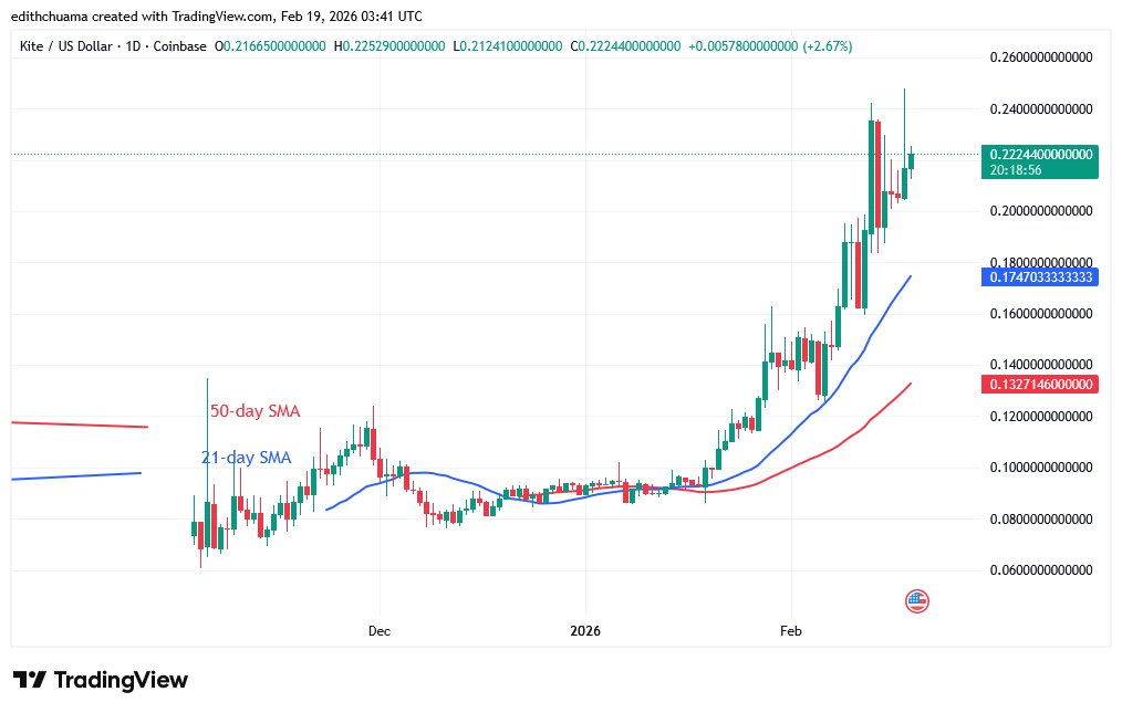 KITEUSD_(Daily Chart) – FEB.19, 2026 KITEUSD_(Daily Chart) – FEB.19, 2026