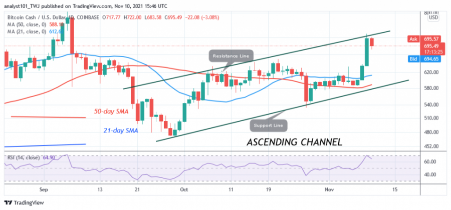 BCHUSD(Daily Chart) NOV.10.png