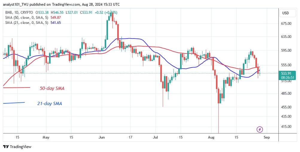 BNBUSD (Daily Chart) –AUG. 28.jpg