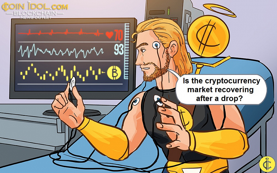 Is Crypto Market Recovering : Cryptocurrency Market Recovering After Massive Correction / Crypto market crash confused people, as an investor panic selling their funds and cashing out their investments.