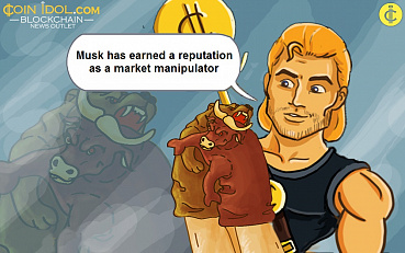 Supporting Dog-Themed Coins or Christmas Market Manipulations by Elon Musk
