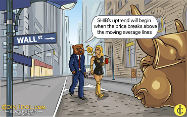 Shiba Inu Falls Further Below $0.00001200