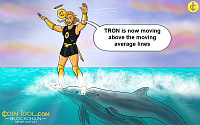 TRON Consolidates Above $0.065 Support, But Risks A Decline 