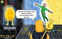 Crypto Newbie: Why are There So Many Bitcoins?