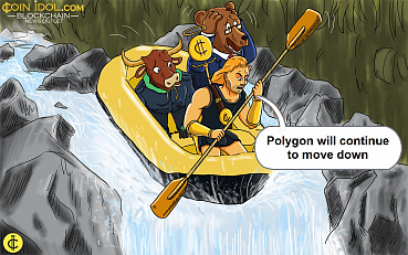 Polygon Rises To High Of $0.89, But Risks Further Price Decline 