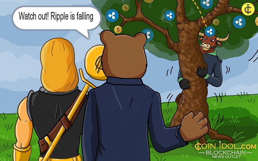 Ripple Price: A Continuous Fall from the Heights or Just a Slow Down? 337c494b5ca37959fd6016dc031ab1d7