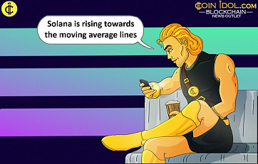 Solana Dips Above The Low of $170