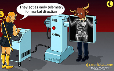 Crypto Whale Watch: Decoding Smart Money Wallets