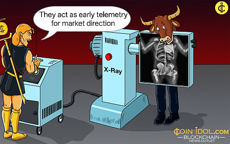 Crypto Whale Watch: Decoding Smart Money Wallets
