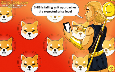 Shiba Inu Falls When The Price Target Of $0.00001429 Is Reached