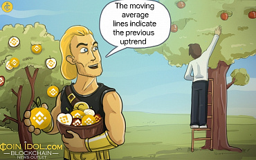 BNB Loses Ground As It Struggles Above $1,040