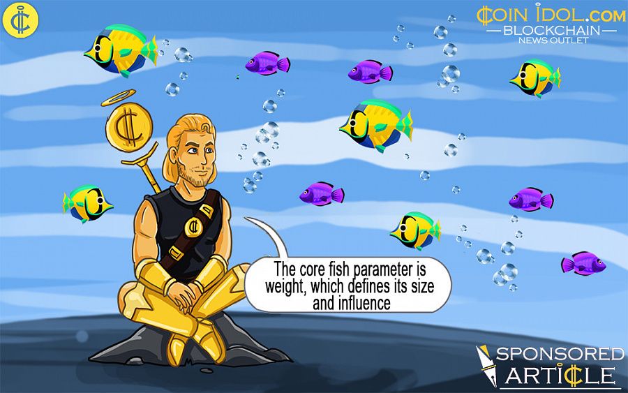 Crypto Fish War is the New Crazy Trend on Blockchain 9a483268b5d8e62e1515b79512299a64