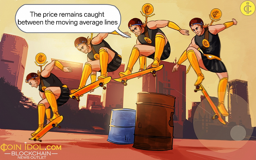 Coinidol.com: Cardano Maintains Its Range Above $0.24.