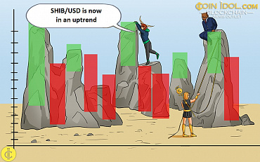 Shiba Inu Picks Up Momentum But Struggles To Top $0.00001050